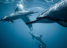 2026世界杯投注-休息时间太短！上季分区决赛四支球队揭幕战1胜3负